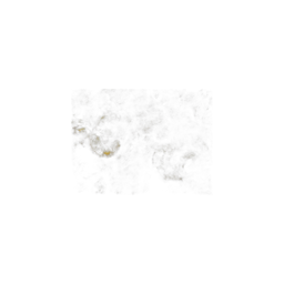 Roasted Cashew Smoke