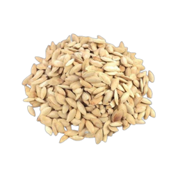 Roasted Mashdi Seed Limon