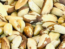 Brazil Nuts Dry