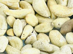 Brazil Nuts Roasted Salt